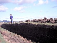 Scotland - Islay - Between house and Port Ellen - Peat Moer